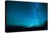 Winter Night Sky over Glacier National Park, Montana-Steven Gnam-Stretched Canvas