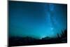 Winter Night Sky over Glacier National Park, Montana-Steven Gnam-Mounted Photographic Print