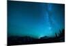 Winter Night Sky over Glacier National Park, Montana-Steven Gnam-Mounted Photographic Print