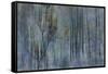 Winter Night-Jacob Berghoef-Framed Stretched Canvas