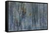 Winter Night-Jacob Berghoef-Framed Stretched Canvas