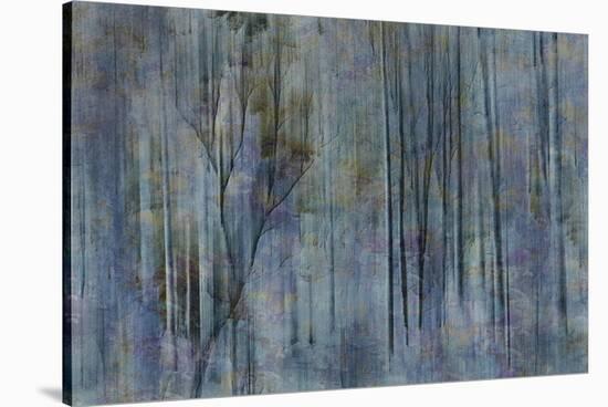 Winter Night-Jacob Berghoef-Stretched Canvas