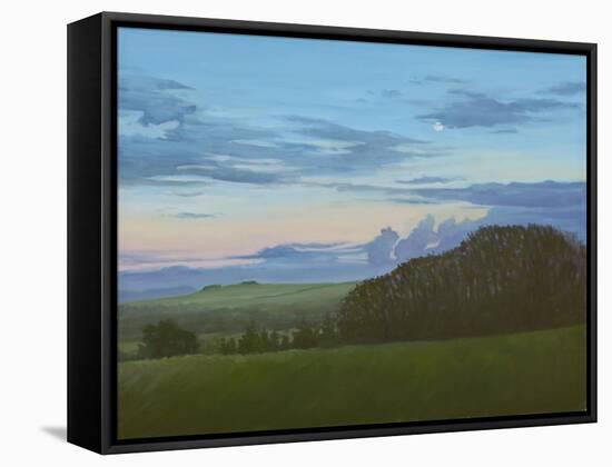 Winter Nightfall Along the Wessex Ridgeway, 2011-Peter Breeden-Framed Stretched Canvas