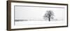 Winter Oaks-Joseph Eta-Framed Giclee Print