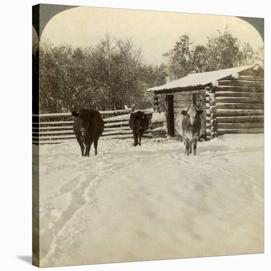 Winter on a Ranch, Montana, Usa-Underwood & Underwood-Stretched Canvas