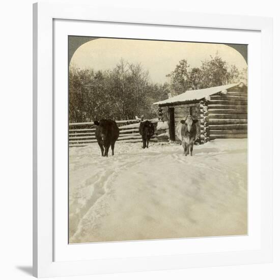 Winter on a Ranch, Montana, Usa-Underwood & Underwood-Framed Photographic Print