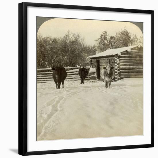 Winter on a Ranch, Montana, Usa-Underwood & Underwood-Framed Photographic Print