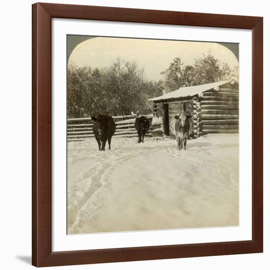 Winter on a Ranch, Montana, Usa-Underwood & Underwood-Framed Photographic Print