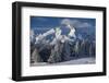 Winter on Brambruesch in the Canton of Grisons-Armin Mathis-Framed Photographic Print