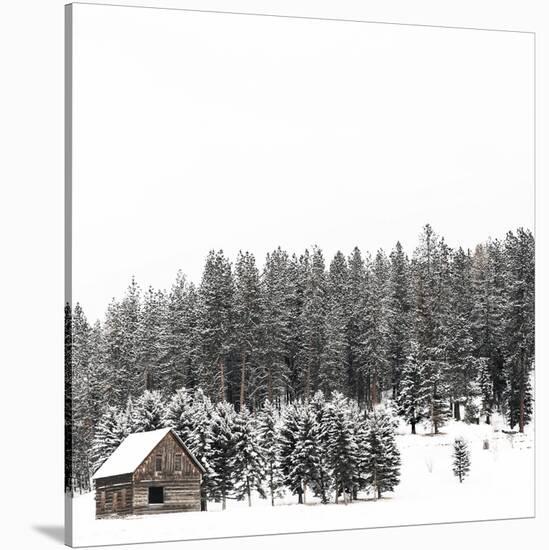 Winter on the Homestead-Krista Mosakowski-Stretched Canvas