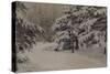 Winter on the Islands of Saint Petersburg, 1912-Evgeni Ivanovich Stolitsa-Stretched Canvas