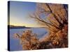 Winter on the Yellowstone River Near Cartwright, North Dakota, USA-Chuck Haney-Stretched Canvas