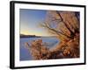 Winter on the Yellowstone River Near Cartwright, North Dakota, USA-Chuck Haney-Framed Photographic Print