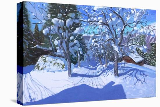 Winter Orchard, Morzine, 2015-Andrew Macara-Stretched Canvas