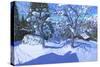 Winter Orchard, Morzine, 2015-Andrew Macara-Stretched Canvas