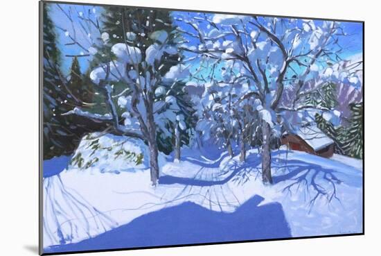 Winter Orchard, Morzine, 2015-Andrew Macara-Mounted Giclee Print