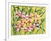 Winter Orchids-Mary Russel-Framed Giclee Print