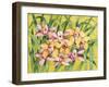 Winter Orchids-Mary Russel-Framed Giclee Print