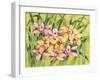 Winter Orchids-Mary Russel-Framed Giclee Print