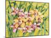 Winter Orchids-Mary Russel-Mounted Giclee Print