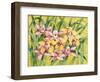 Winter Orchids-Mary Russel-Framed Premium Giclee Print