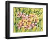 Winter Orchids-Mary Russel-Framed Premium Giclee Print