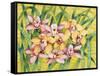 Winter Orchids-Mary Russel-Framed Stretched Canvas