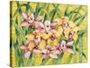 Winter Orchids-Mary Russel-Stretched Canvas