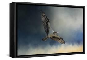 Winter Osprey-Jai Johnson-Framed Stretched Canvas