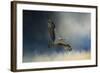 Winter Osprey-Jai Johnson-Framed Giclee Print