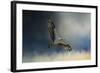 Winter Osprey-Jai Johnson-Framed Giclee Print