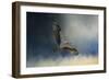 Winter Osprey-Jai Johnson-Framed Giclee Print