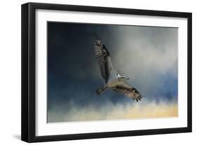 Winter Osprey-Jai Johnson-Framed Premium Giclee Print