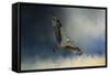 Winter Osprey-Jai Johnson-Framed Stretched Canvas