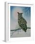 Winter-Owl-Ditz-Framed Giclee Print