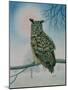 Winter-Owl-Ditz-Mounted Giclee Print