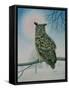 Winter-Owl-Ditz-Framed Stretched Canvas