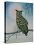 Winter-Owl-Ditz-Stretched Canvas