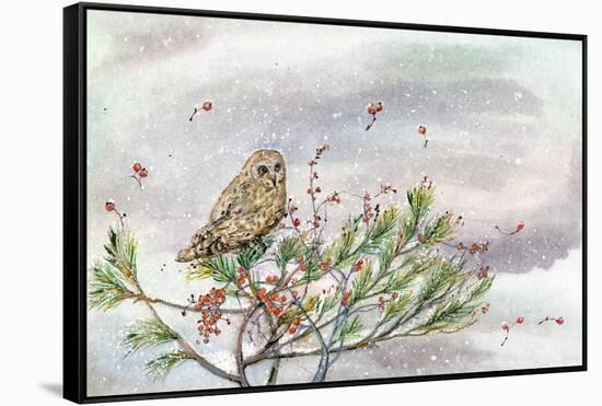 Winter Owl-Lauren Wan-Framed Stretched Canvas