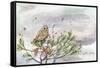 Winter Owl-Lauren Wan-Framed Stretched Canvas