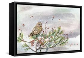 Winter Owl-Lauren Wan-Framed Stretched Canvas