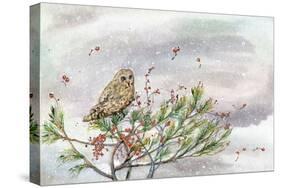 Winter Owl-Lauren Wan-Stretched Canvas
