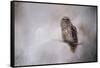 Winter Owl-Jai Johnson-Framed Stretched Canvas