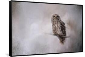 Winter Owl-Jai Johnson-Framed Stretched Canvas