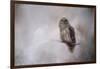 Winter Owl-Jai Johnson-Framed Giclee Print