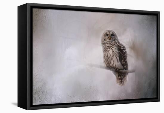 Winter Owl-Jai Johnson-Framed Stretched Canvas