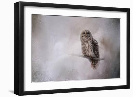 Winter Owl-Jai Johnson-Framed Giclee Print