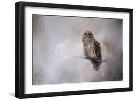 Winter Owl-Jai Johnson-Framed Giclee Print