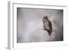 Winter Owl-Jai Johnson-Framed Giclee Print