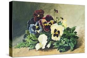 Winter Pansies, 1884-Louis Bombled-Stretched Canvas
